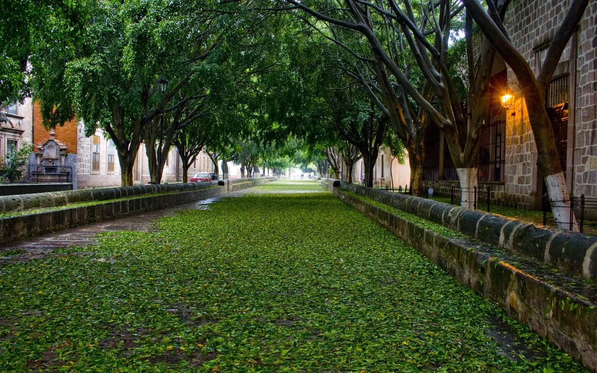 Calzada Fray Antonio de San Miguel - Image 1