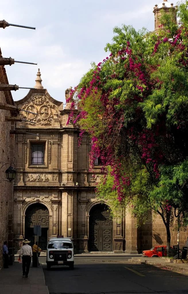 Jardín de las Rosas - Image 1